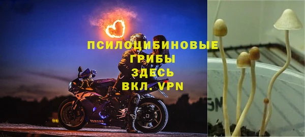 mdpv Алексеевка