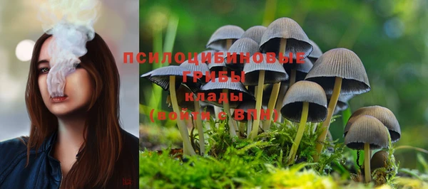 mdpv Алексеевка