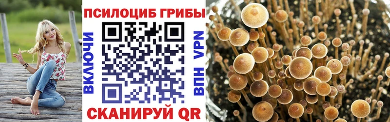Галлюциногенные грибы ЛСД Норильск